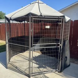 Dog Gazebo