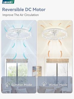 20” Ceiling fan with lights