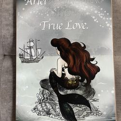 Disney Picture Art - Ariel