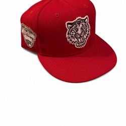 Detroit tigers