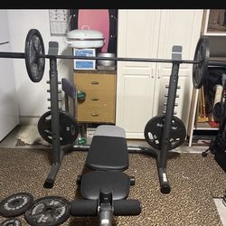Weight Bench , Rack And Weights