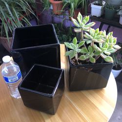 3 Pieces Square Black Ceramic Pots/Planters With Drainage Hole