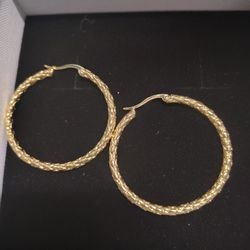 Celine Hoop Ear Rings