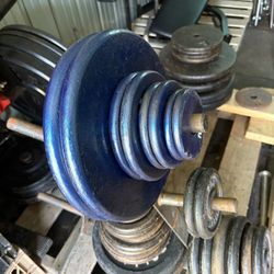 Weight Plates 