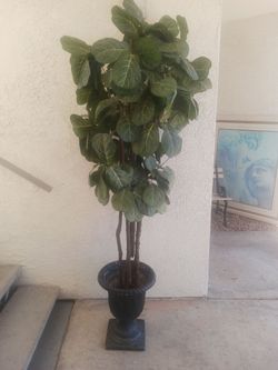 Artificial Fig Leaf Plant