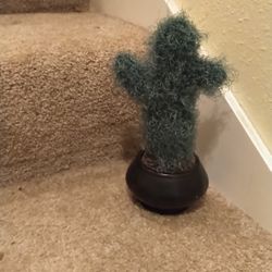 Knitted Cactus