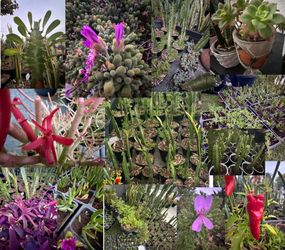 Multifamily PLANTS Sale