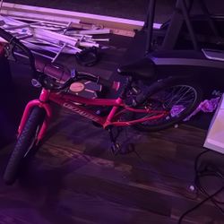 Specialized Kids Bike 