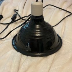 Basking Lights For Reptiles 