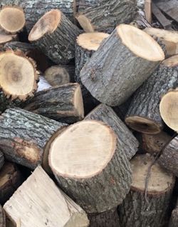 White Fir Rounds For Sale