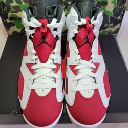 Jordan 6 Carmine Size 7