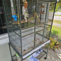 bird cage with everything you need