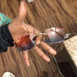 Buffalo Sunglass Lense 