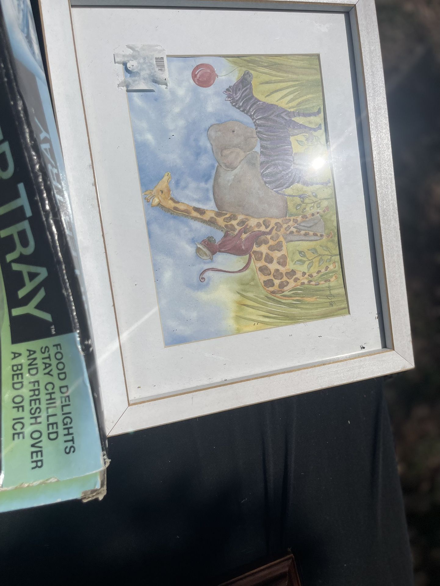 Cute Animal Frames Picture