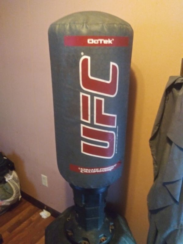 Everlast Stationary Punching Bag