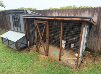 Chicken Coop