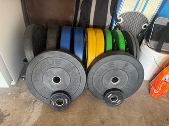 Roque squat stand, 420lbs of bumper plates, loadable dumbbells, hex bar, steel plates and 3 barbells