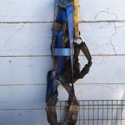 Harness 