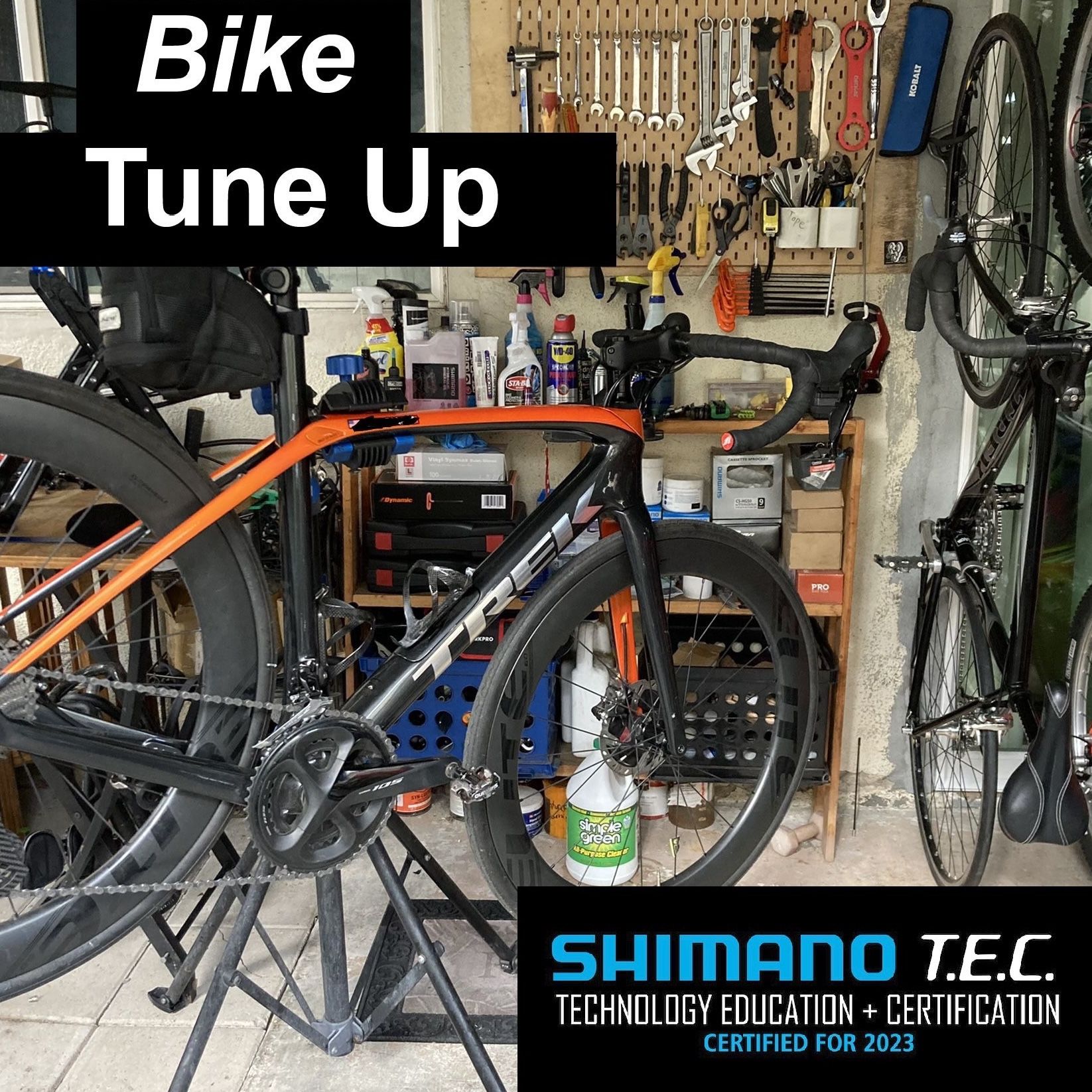 Bicycle Tune Up 