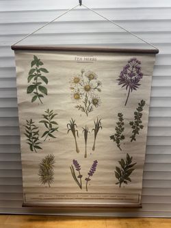 Tea Herbs Botanical Wall Hanging