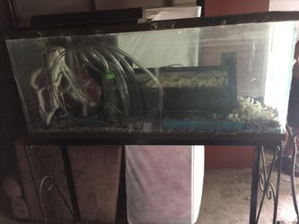 55 gal fish tank