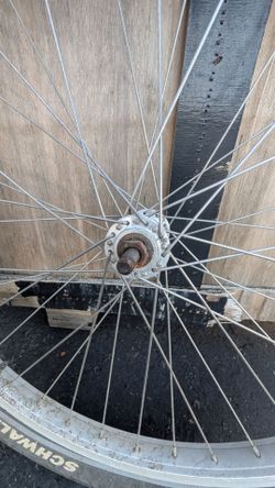 26" Cruiser Bike Wheel w/ Schwalbe Fat Frank 26x2.35 Balloon Tire (Silver 36H Rim)