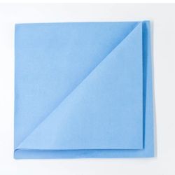 Euroscrubby Streak Free Cloth NWT