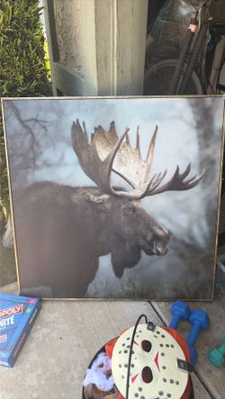 Moose canvas wall decor