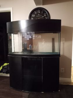 75 Gallon Curved Aquarium 