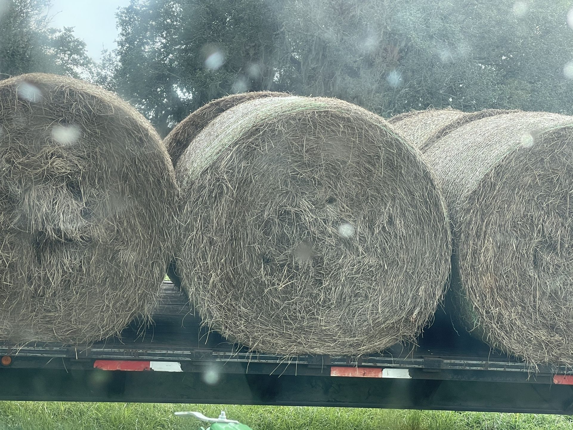 Cow Hay Round Heavy Bales