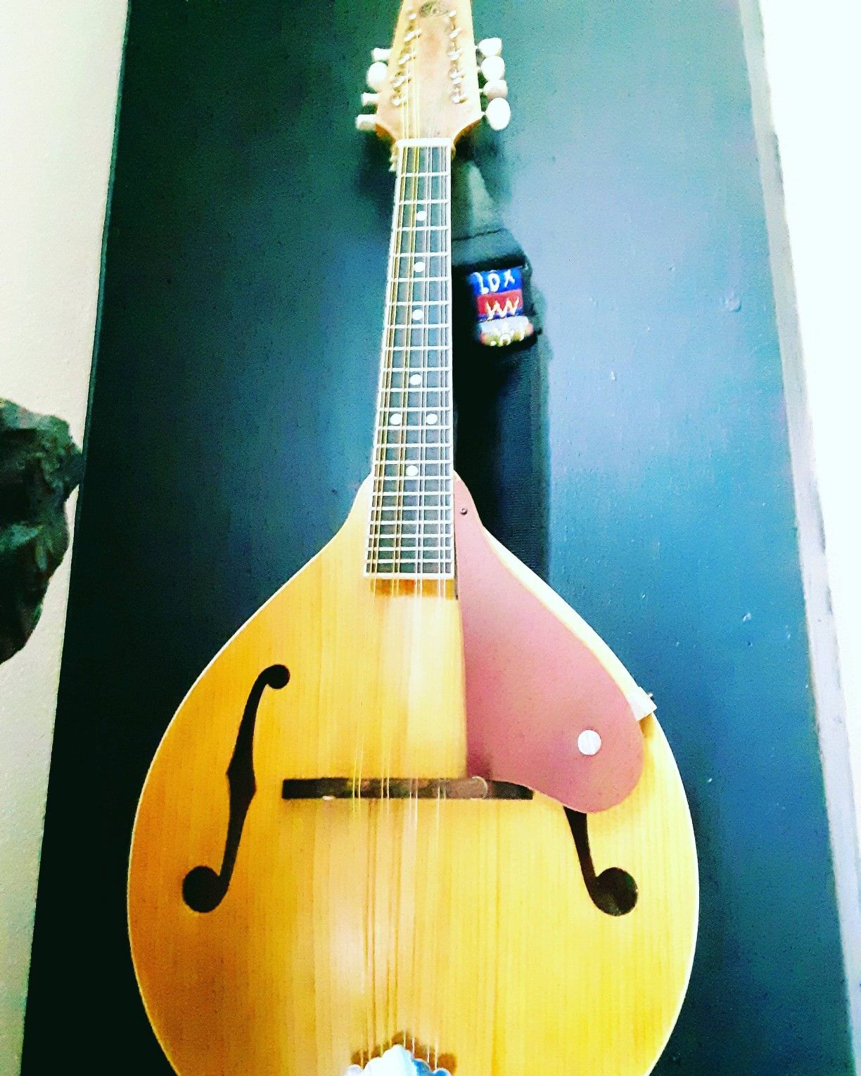 Mandolin