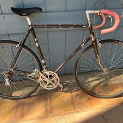 Made In Italy 🇮🇹 Full Campnola Road Bike 🚴‍♂️ 