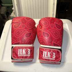 Red Kickboxing Gloves (14 oz.)