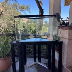 65 Gallon Fish Tank