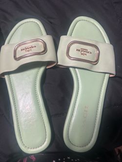 Green authentic Coach slides