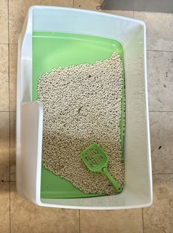 Cat Litter Box