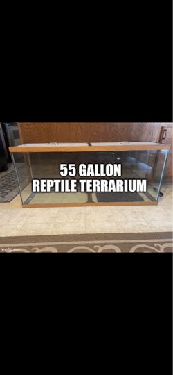 NICE Custom 55 Gallon Glass Reptile Terrarium