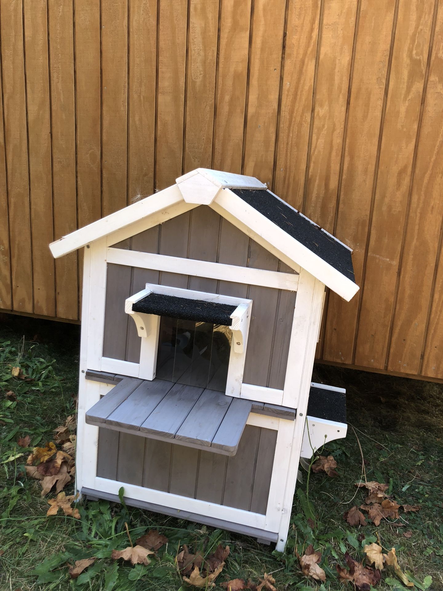 Cat House