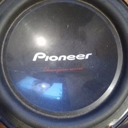 10 In Woofer