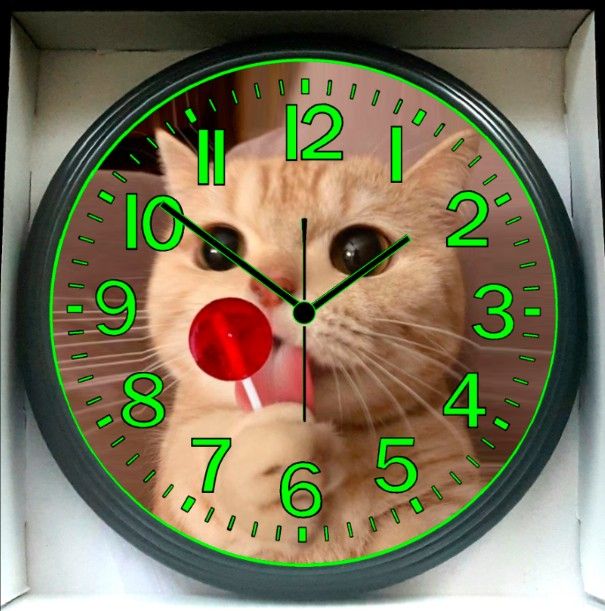 Cat Living Room Lounge Music Art Studio Glow In The Dark Wall Clock New!