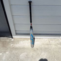 Demarini CF Zen