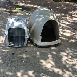 Two House Dog 