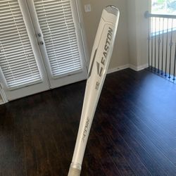 Easton Beast “Whiteout” Baseball Bat