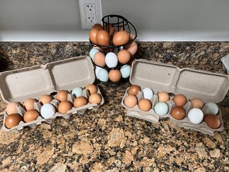 Fresh Eggs!!