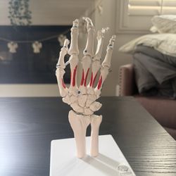 Hand model