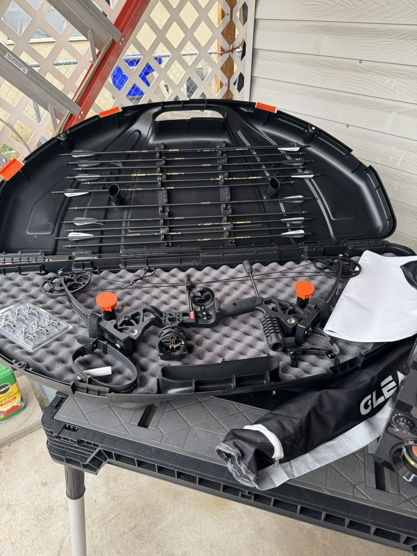 Compound Bow