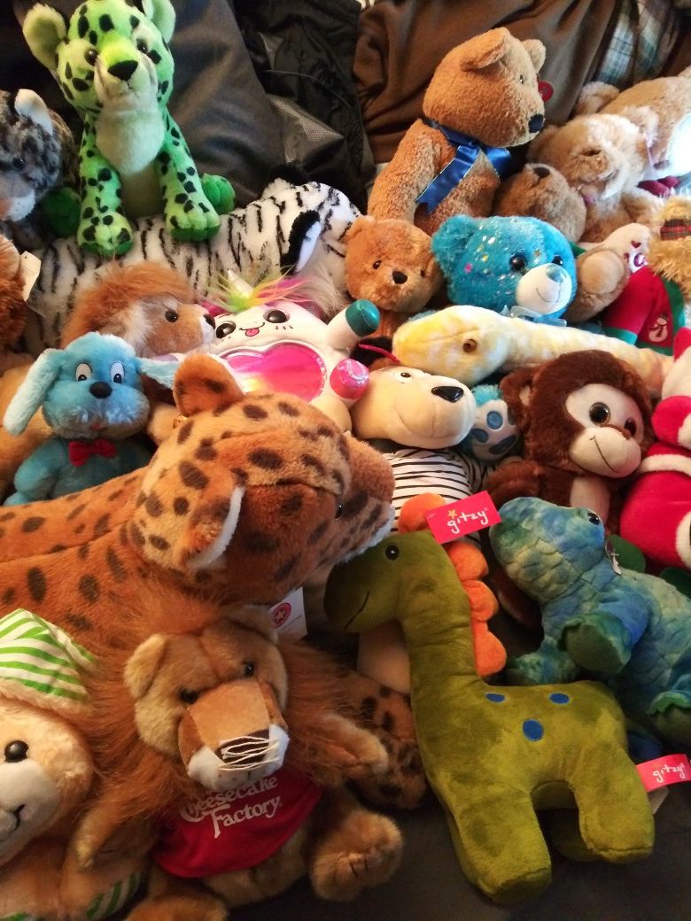 Stuffed Animal bundle