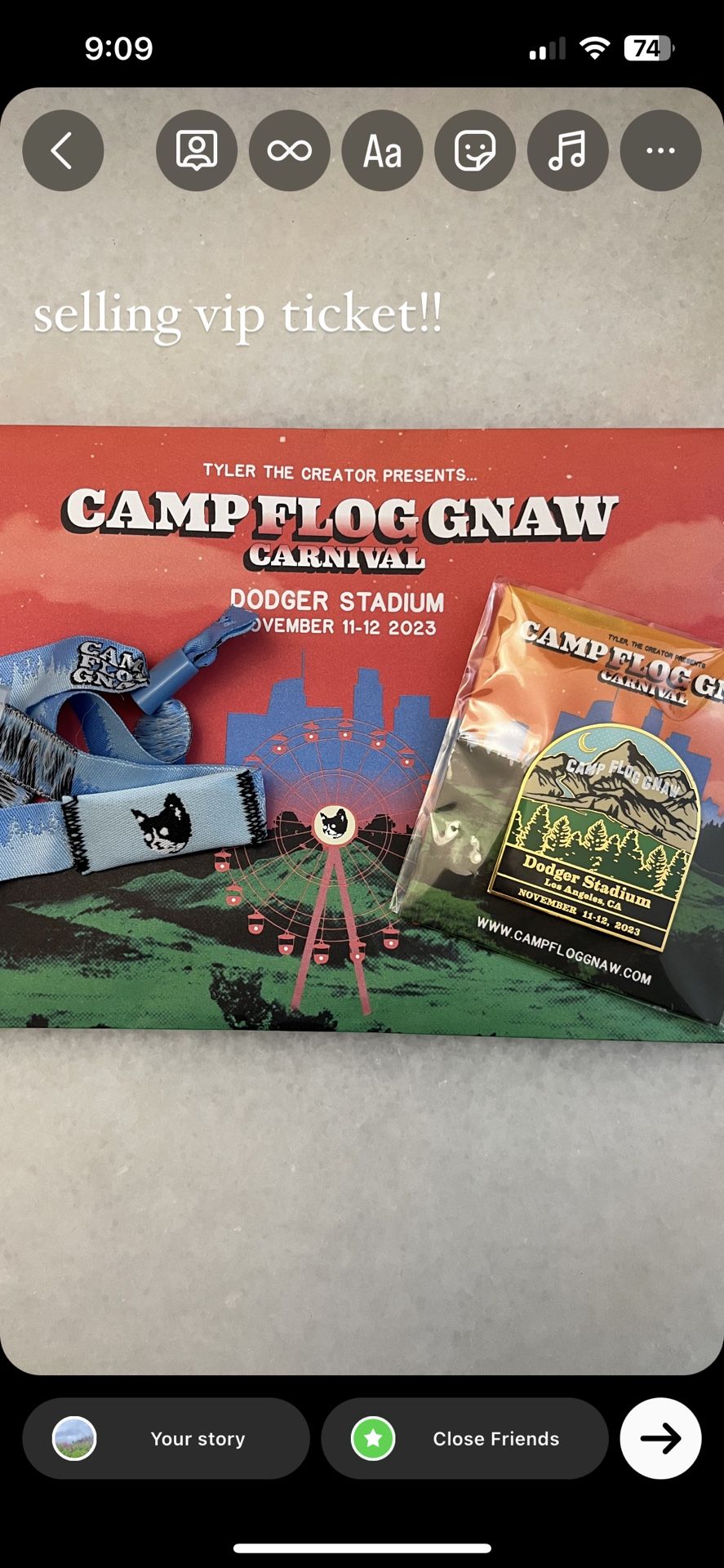 Two VIP Camp Flog Gnaw Passes