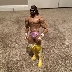 Limited Wrestler Action Figure Collection 
