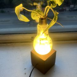 Plant Lightbulb Lamp 